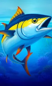 Big Boat Big Catch