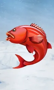 Ice Fishing
